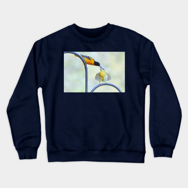 Oriole feeding fledgling #2 Crewneck Sweatshirt by LaurieMinor